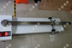 �ؑc����(y��ng)Ť�ذ��֙z�y�x