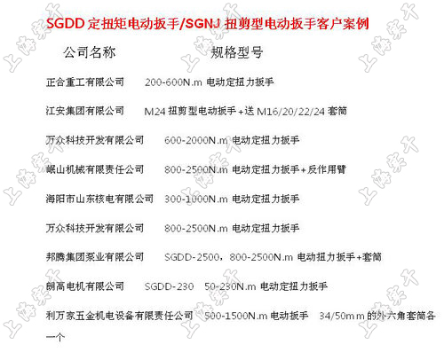 電動定扭力扳手