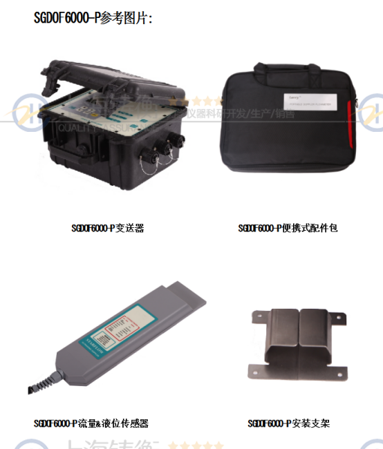 SGDOF6000-P明渠***流量計